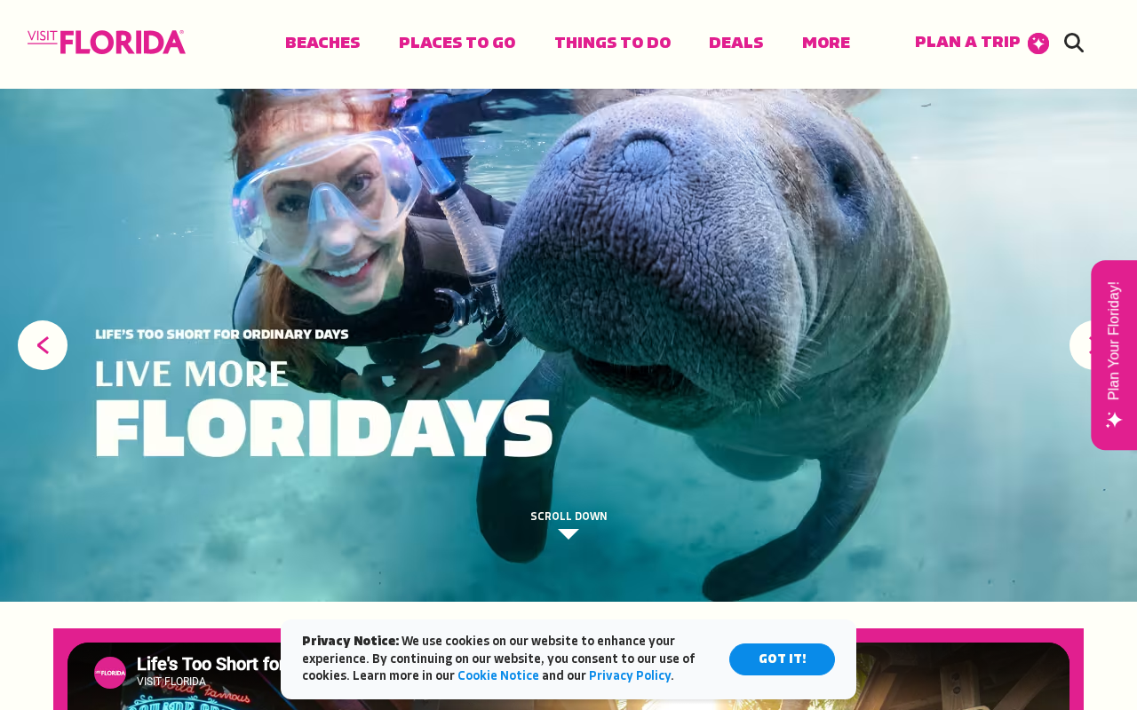 Florida Vacations, Travel & Tourism Guide screenshot