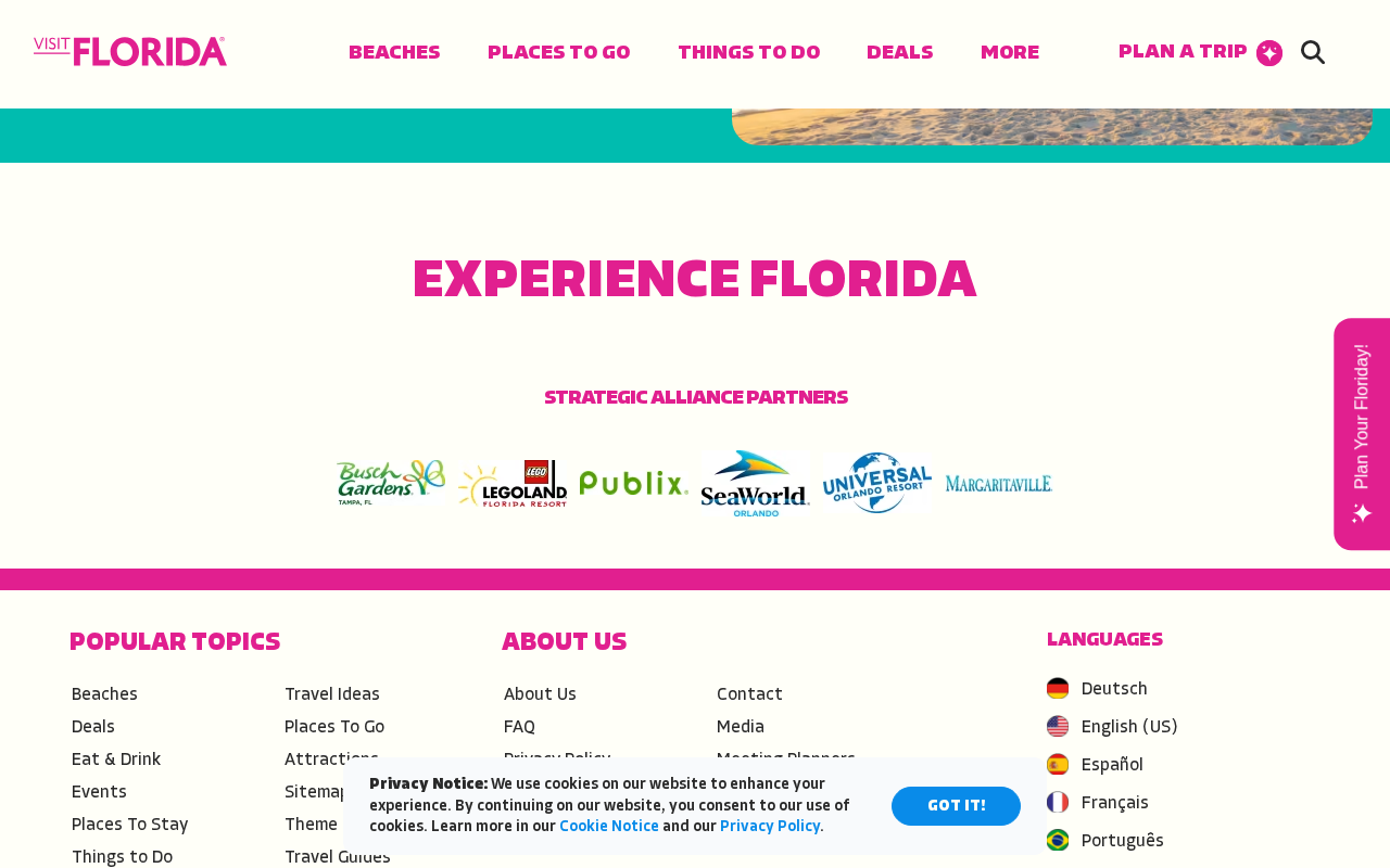 Florida Vacations, Travel & Tourism Guide screenshot