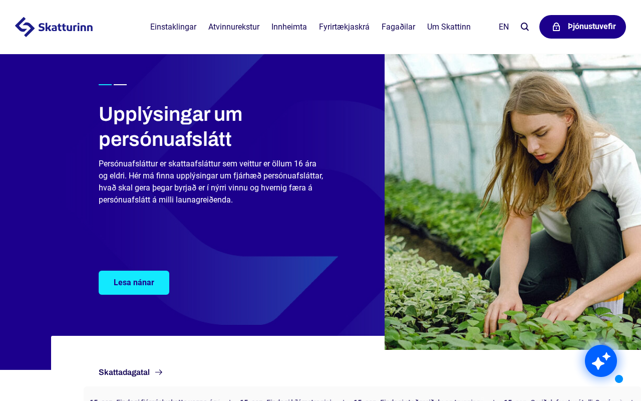 Skatturinn screenshot