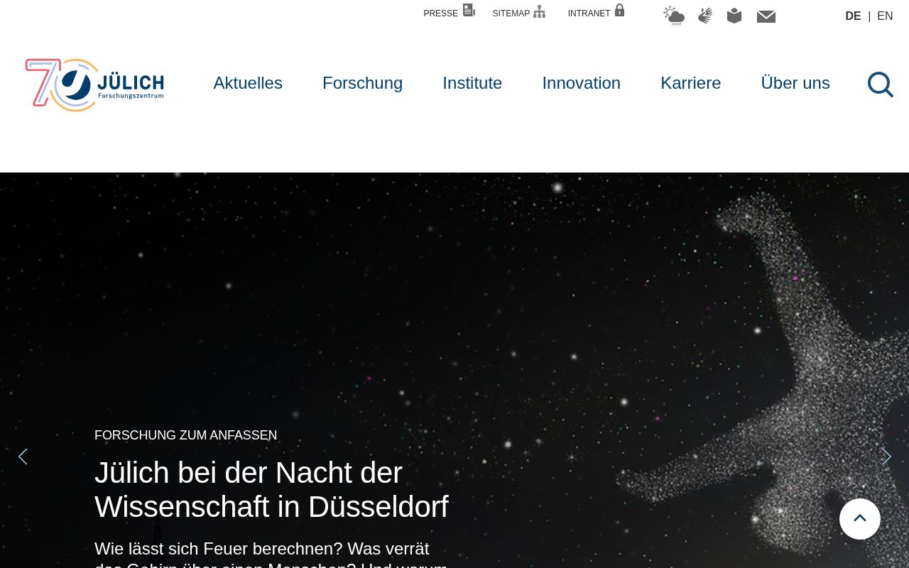 Forschungszentrum Jülich screenshot